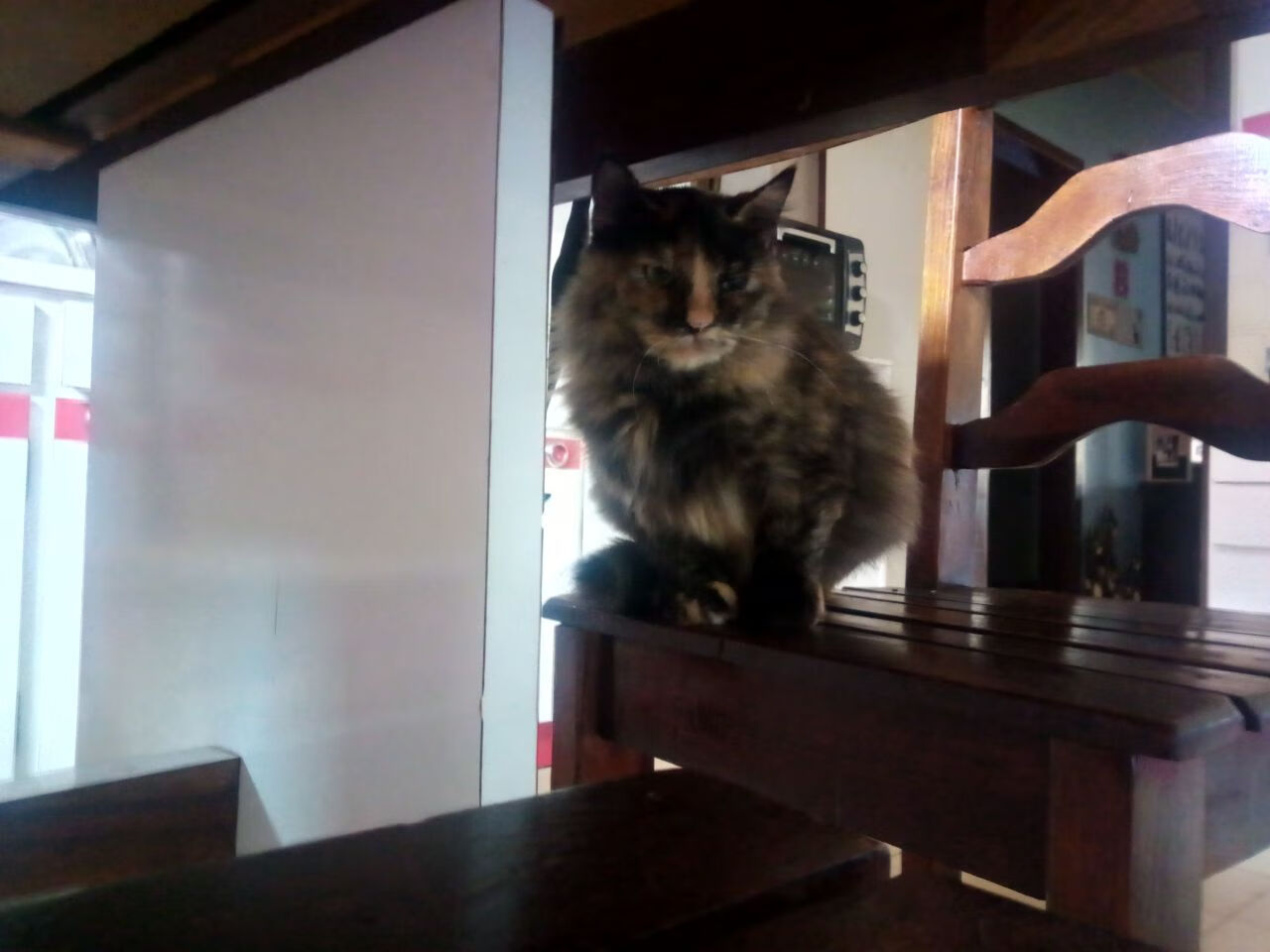 从摩纳哥到世界之巅，奥亚尔萨瓦尔与2026的征服者叙事